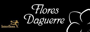 Flores Daguerre logo